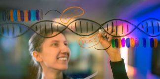Scientists to Recode Genome Invulnerable to Viruses