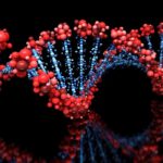 MSc Biosciences Research Assistant Post Vacant @ ILBS