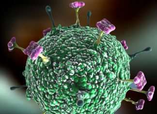 Study Identifies Lung Cancer Pathways Using Big Data