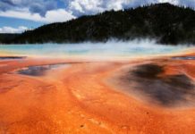 New Archaeal Lineage Discovered at Yellowstone New Archaeal Lineage Discovered at Yellowstone