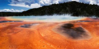 New Archaeal Lineage Discovered at Yellowstone
