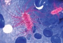 E. coli Infection Found to Temporarily Disrupt Memory Formation MSc Life Sciences & Biotechnology JRF Post Vacant @ JNU