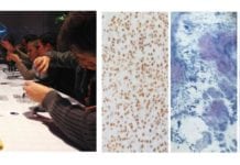 Frances’ Startup, PILI- a Connoisseur of “Organic” Dyes