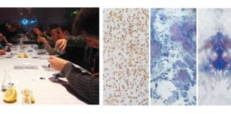 Frances’ Startup, PILI- a Connoisseur of “Organic” Dyes