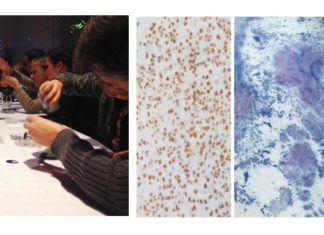 Frances’ Startup, PILI- a Connoisseur of “Organic” Dyes Frances’ Startup, PILI- a Connoisseur of “Organic” Dyes