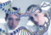 MSc Biochemistry Project Research Fellow Post @ ICMR-NIN