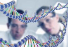 M.Sc. in Human Disease Genetics 2018-2020 Admissions @ Centre for Human Genetics MSc Biochemistry Project Research Fellow Post @ ICMR-NIN