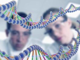 MSc Biochemistry Project Research Fellow Post @ ICMR-NIN