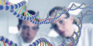 MSc Biochemistry Project Research Fellow Post @ ICMR-NIN
