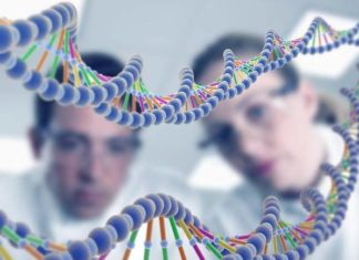 MSc Biochemistry Project Research Fellow Post @ ICMR-NIN