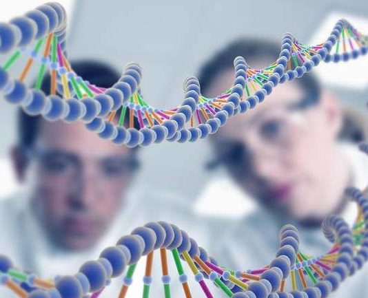 MSc Biochemistry Project Research Fellow Post @ ICMR-NIN