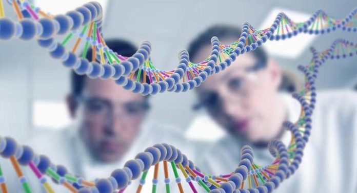 MSc Biochemistry Project Research Fellow Post @ ICMR-NIN