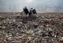EU Rules to Ban Single-Use Plastics for Marine Litter Reduction EU Rules to Ban Single-Use Plastics for Marine Litter Reduction