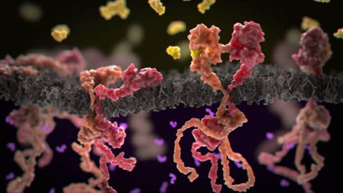 Breast Cancer Drug Discovered to Expedite Cancer Cell Growth