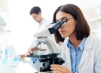 DST Science, Technology, and Innovation Policy Fellowships Research Fellow Post For MSc Biotech & Microbiology