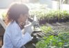 Biosciences Senior Research Fellow Post Vacant @ NRRI