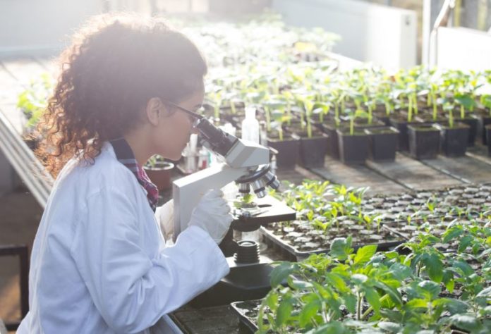 Biosciences Senior Research Fellow Post Vacant @ NRRI