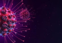 Team Lead – Microbiology Position Vacant @ Pfizer Team Lead - Microbiology Position Vacant @ Pfizer