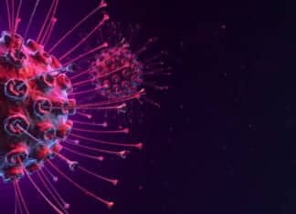 Team Lead – Microbiology Position Vacant @ Pfizer Team Lead - Microbiology Position Vacant @ Pfizer