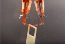 Researchers Build Cyborgs Using Lab-Grown Muscles