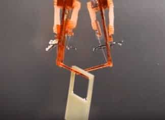Researchers Build Cyborgs Using Lab-Grown Muscles Researchers Build Cyborgs Using Lab-Grown Muscles