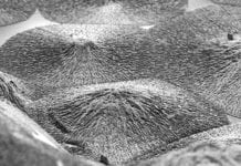 A Synthetic Mineralised Material that Mimics Hard Tissue Regeneration