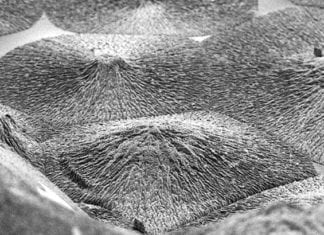 A Synthetic Mineralised Material that Mimics Hard Tissue Regeneration