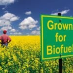 DBT India Funding Opportunity Announcement (FOA) 2018 in Sustainable Biofuels Innovation Challenge DBT India Funding Opportunity Announcement (FOA) 2018