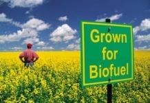 DBT India Funding Opportunity Announcement (FOA) 2018 in Sustainable Biofuels Innovation Challenge DBT India Funding Opportunity Announcement (FOA) 2018