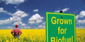 DBT India Funding Opportunity Announcement (FOA) 2018