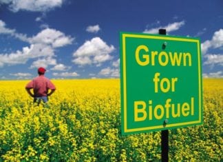 DBT India Funding Opportunity Announcement (FOA) 2018 in Sustainable Biofuels Innovation Challenge DBT India Funding Opportunity Announcement (FOA) 2018