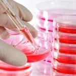 Clinical Trials in a Dish : New key to a faster drug development process Madras University Hiring MSc Life Sciences