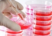 Clinical Trials in a Dish : New key to a faster drug development process Madras University Hiring MSc Life Sciences