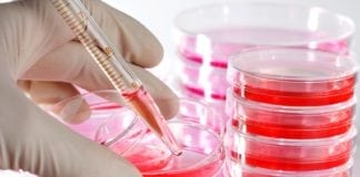 Madras University Hiring MSc Life Sciences
