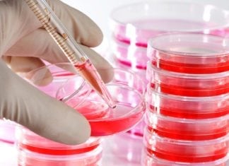 Clinical Trials in a Dish : New key to a faster drug development process Madras University Hiring MSc Life Sciences