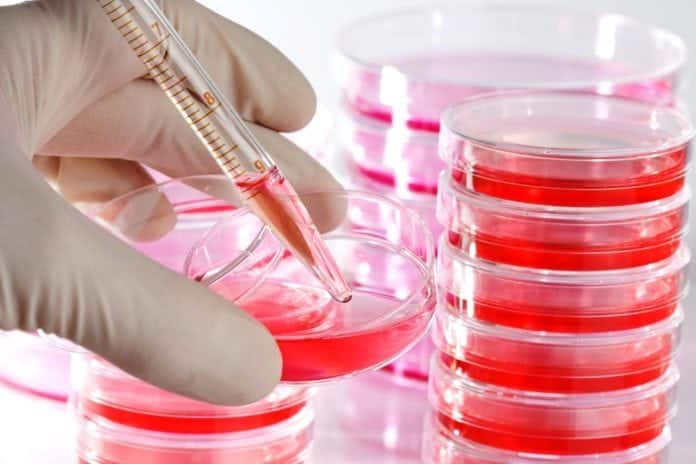 Madras University Hiring MSc Life Sciences