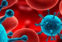 Biosciences Research Fellow Posts Vacant @ ICMR-NIIH Biosciences Research Fellow Posts Vacant @ ICMR-NIIH