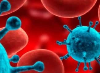 Biosciences Research Fellow Posts Vacant @ ICMR-NIIH