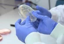 Scientists Unveil The World’s First Non-Leaching Antimicrobial Medical Gloves Scientists Unveil The World’s First Non-Leaching Antimicrobial Medical Gloves