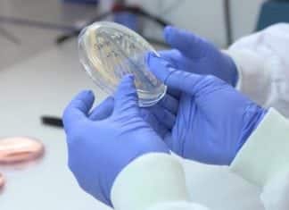 Scientists Unveil The World’s First Non-Leaching Antimicrobial Medical Gloves Scientists Unveil The World’s First Non-Leaching Antimicrobial Medical Gloves