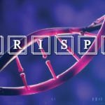 Researchers Provide New Insights on CRISPR-Cas proteins
