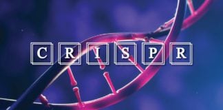 Researchers Provide New Insights on CRISPR-Cas proteins