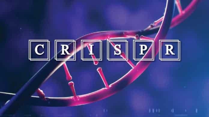 Researchers Provide New Insights on CRISPR-Cas proteins