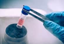 World’s First Revolutionary iPS Cells Trial to Treat Heart Diseases World’s First Revolutionary iPS Cells Trial to Treat Heart Diseases