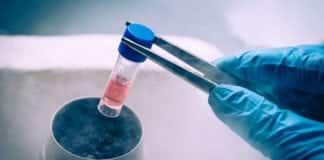 World’s First Revolutionary iPS Cells Trial to Treat Heart Diseases
