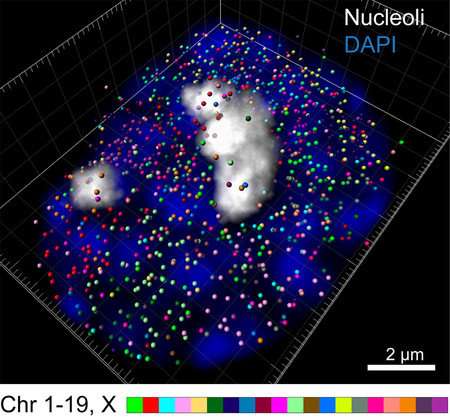 New Tech Allows Scientists to Capture 10,000 Genes at Once