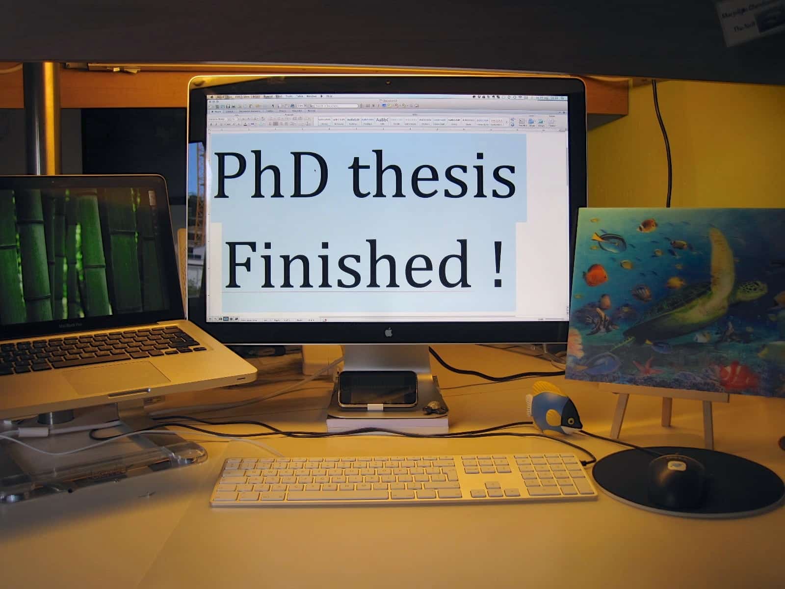 How to write a PhD Thesis Faster and Beat Deadlines