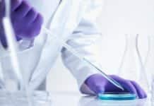MSc Biotechnology Project Assistant Post Vacant @ CSIR-CBRI Govt MSc Biotechnology Research Career