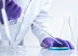 MSc Biotechnology Project Assistant Post Vacant @ CSIR-CBRI Govt MSc Biotechnology Research Career