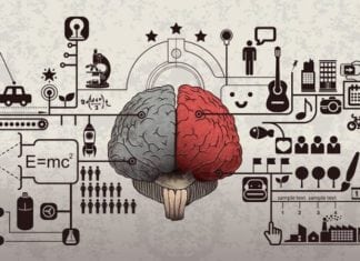 Call for Applications For Individual Research & Post Doc Fellowship Under DST – CSRI DST Cognitive Science Research Initiative (CSRI)